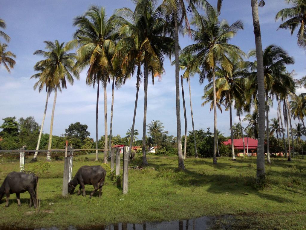 The Village Langkawi Pantai Cenang  Dış mekan fotoğraf