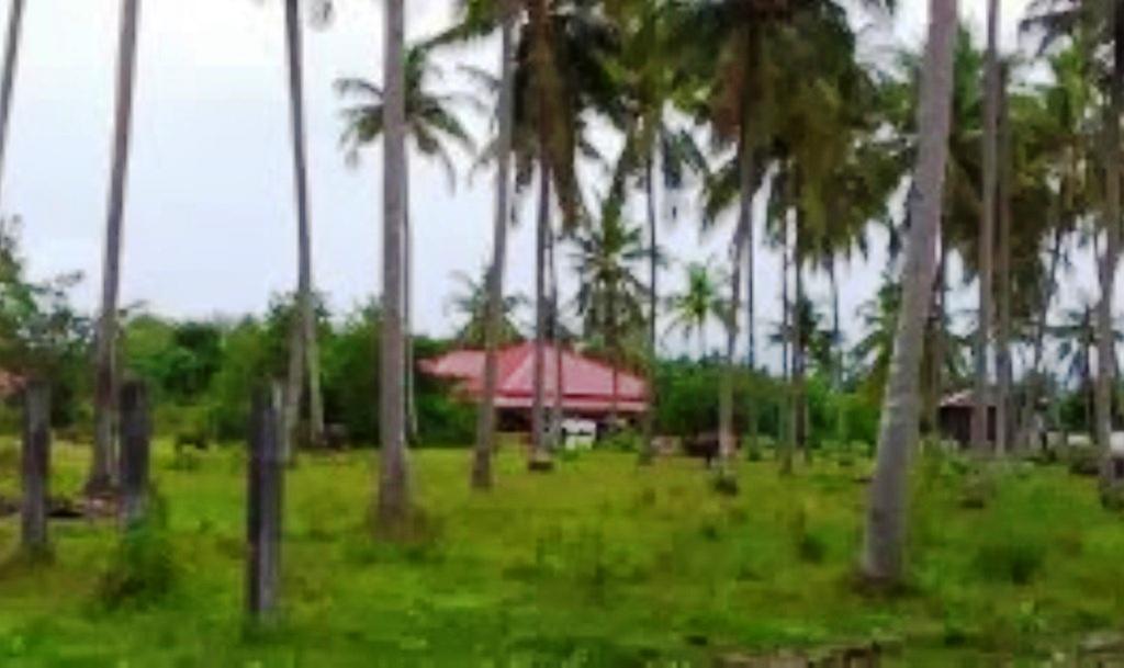 The Village Langkawi Pantai Cenang  Dış mekan fotoğraf