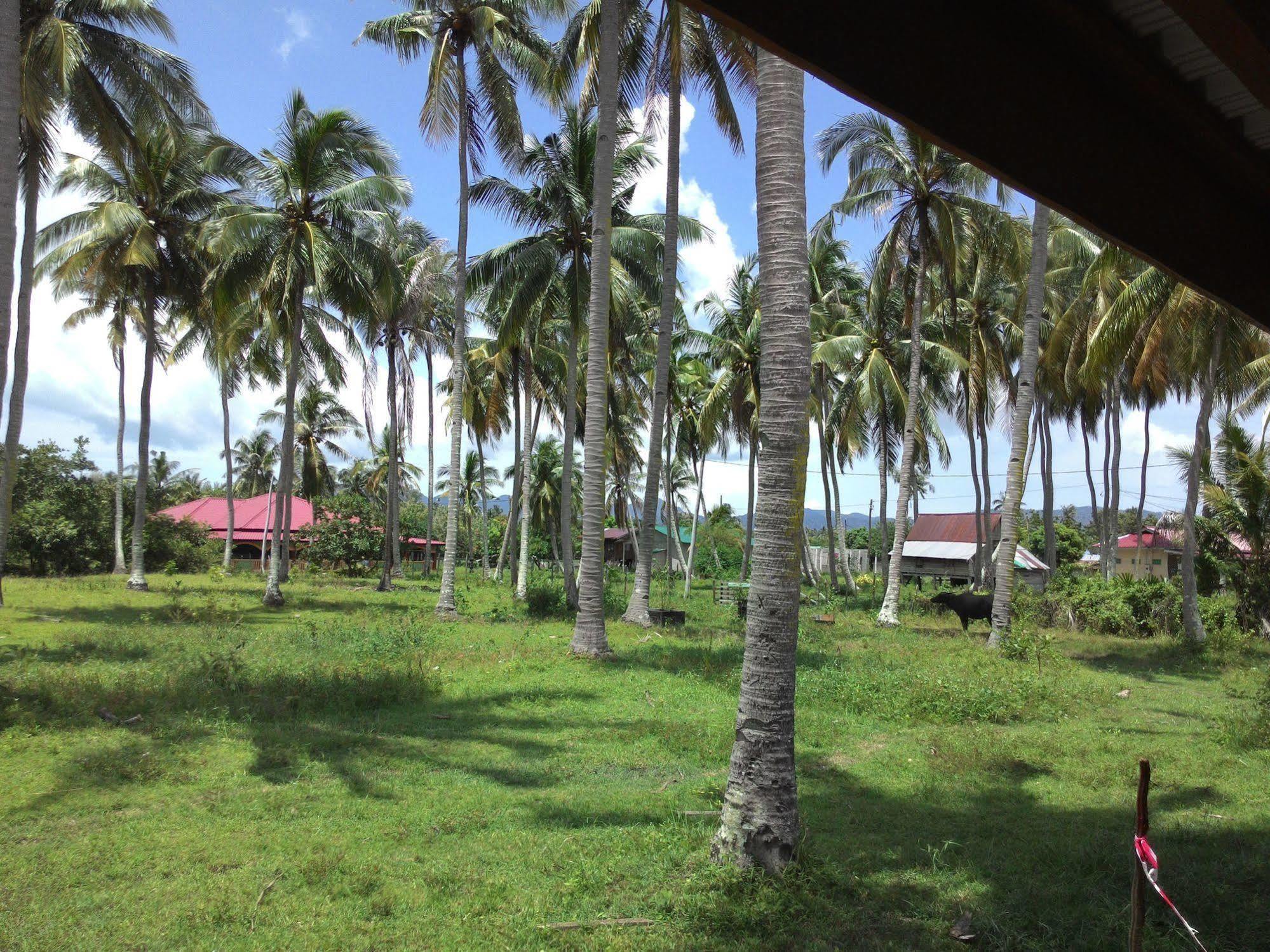 The Village Langkawi Pantai Cenang  Dış mekan fotoğraf